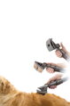 Universelles Dyson-Aufsatzset für Haustiere – Hunde und Katzen